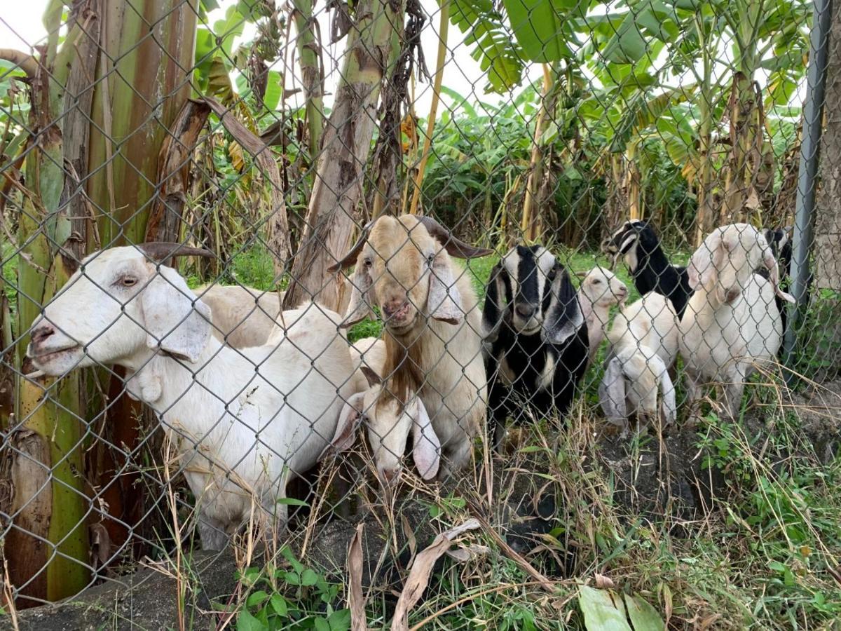 Homestay Tay Xa Trang Bom Exterior foto