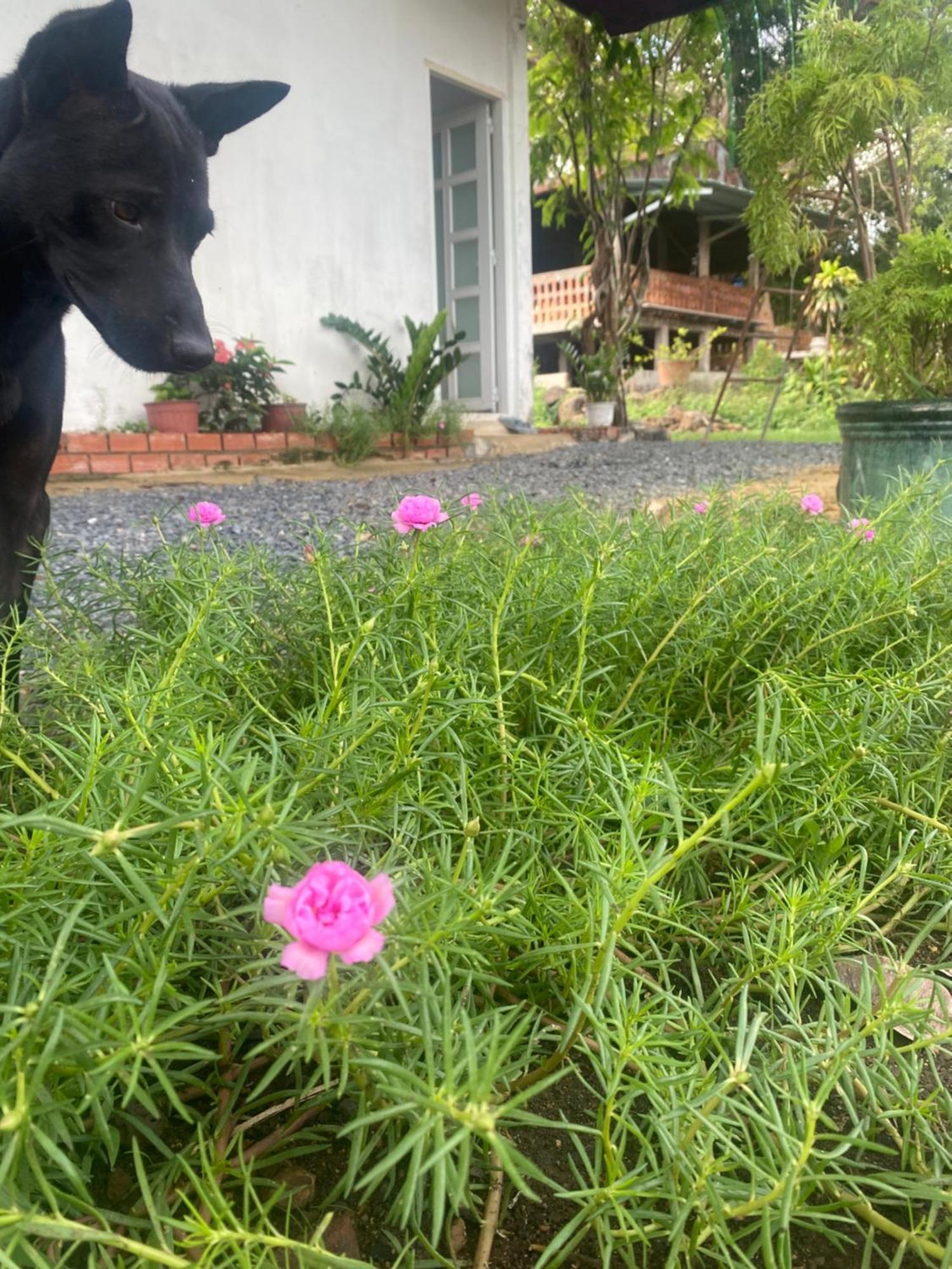 Homestay Tay Xa Trang Bom Exterior foto