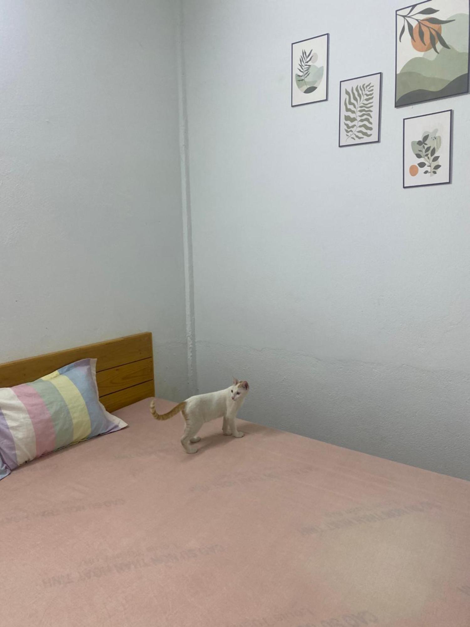 Homestay Tay Xa Trang Bom Exterior foto